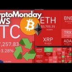 BITCOIN, il CICLO si è ROTTO 🫷Crypto Monday NEWS w44/’25