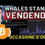 🚨 PANICO: OCCASIONE D’ORO? 🚨 MORNING w/CRYPTO: BITCOIN / ALTCOINS [time sensitive]