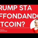Trump sta affondando Bitcoin?