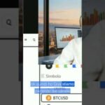 L’oro ha replicato la bolla di Bitcoin del 2017?