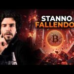 Bitcoin e Token Exchange: Perché Crollano Tutti?