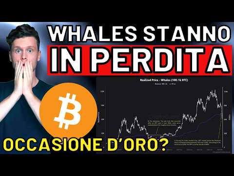 🚨 ALLARME WHALES SONO IN PERDITA 🚨 MORNING w/CRYPTO: BITCOIN / ALTCOINS [time sensitive]