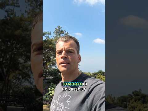 BITCOIN che botta! ..e Ora ?   #business #money  #crypto  #cripto #bitcoin #criptovalute