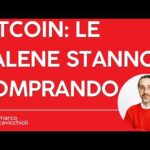 I grandi capitali stanno comprando Bitcoin