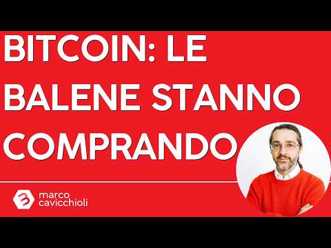 I grandi capitali stanno comprando Bitcoin