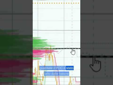 Il muro d’acquisto delle balene su Bitcoin a 67.9–68.2k