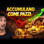 BITCOIN, CRYPTO: MENTRE TU HAI PAURA, LORO ACCUMULANO COME PAZZI