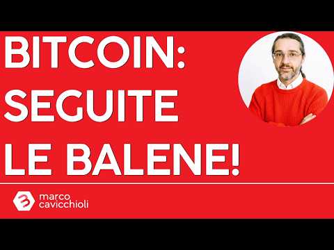 Su Bitcoin le balene ci stanno prendendo (quasi) sempre