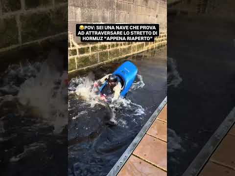 😂SITUAZIONE ATTUALE SULLO STRETTO DI HORMUZ #meme #crypto #bitcoin