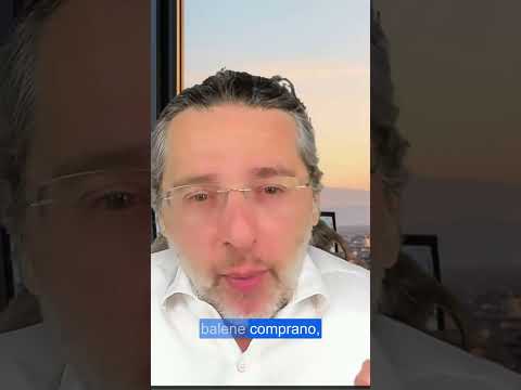 Perché oggi il mercato lo fanno le balene