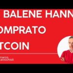 Le balene hanno COMPRATO Bitcoin nei mesi scorsi