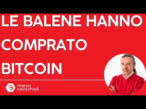 Le balene hanno COMPRATO Bitcoin nei mesi scorsi