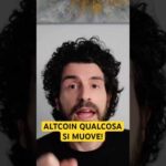 Le altcoin si stanno muovendo. Inizio o apice?