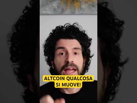 Le altcoin si stanno muovendo. Inizio o apice?
