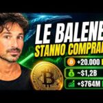 BITCOIN, CRYPTO: STANNO COMPRANDO TUTTI (GUARDA QUESTI DATI), EPPURE…