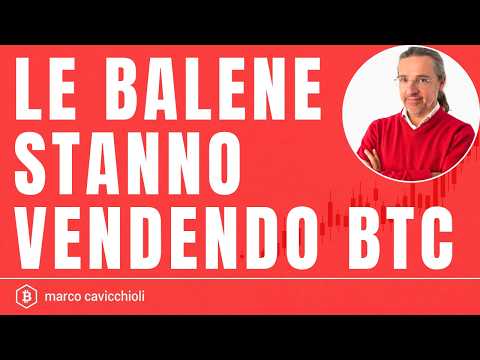 Attenzione: oggi le balene stanno vendendo Bitcoin