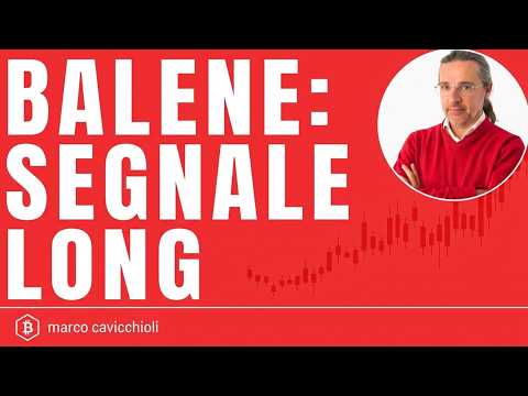 Bitcoin: il segnale delle balene trader che cambia lo scenario