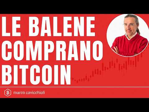 Attenzione a Bitcoin: le balene tornano a comprare