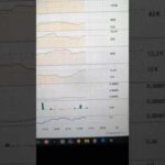 Troppi long aperti: scattano le vendite forzate su Bitcoin